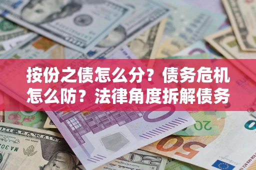 武汉按份之债怎么分？债务危机怎么防？法律角度拆解债务分配与风险自保指南