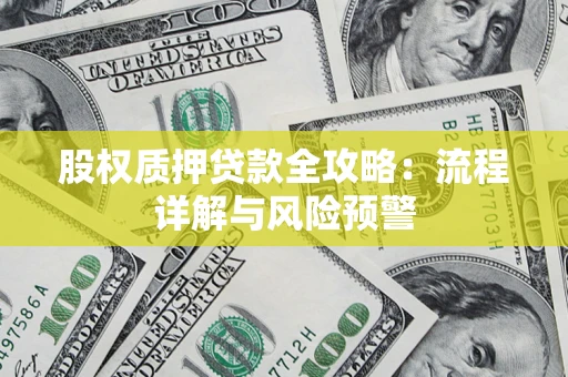 武汉股权质押贷款全攻略：流程详解与风险预警