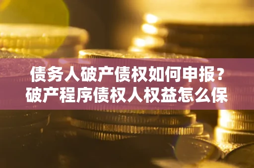 武汉债务人破产债权如何申报？破产程序债权人权益怎么保障？