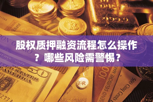 武汉股权质押融资流程怎么操作？哪些风险需警惕？