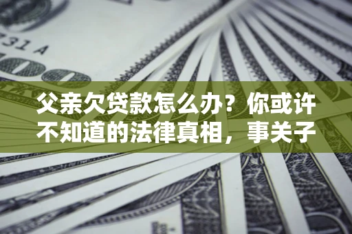 武汉父亲欠贷款怎么办？你或许不知道的法律真相，事关子女未来