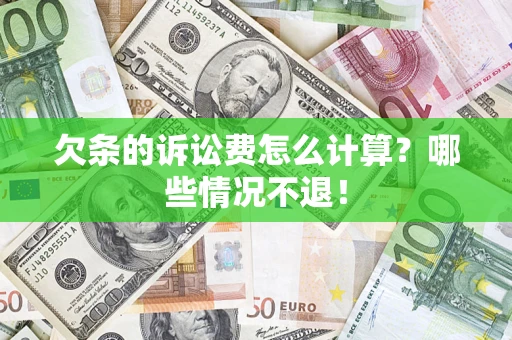 武汉欠条的诉讼费怎么计算？哪些情况不退！