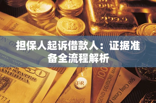 武汉担保人起诉借款人：证据准备全流程解析