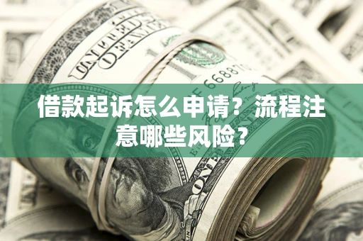 武汉借款起诉怎么申请？流程注意哪些风险？