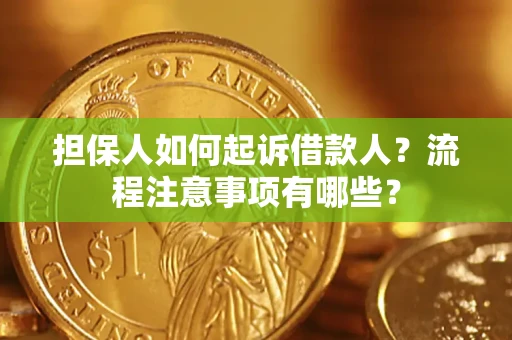 武汉担保人如何起诉借款人？流程注意事项有哪些？